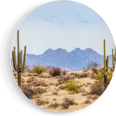 Artaza Forex Muurcirkel Cactussen in de Woestijn - 90x90 cm - Groot - Wandcirkel - Rond Schilderij - Muurdecoratie Cirkel
