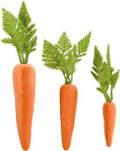Decoratieve wortelen Gevlokte wortelen H27cm–37cm in een set van 6