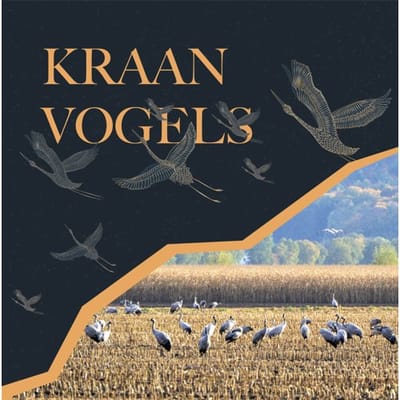 Kraanvogels - Ingrid Visser