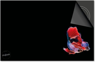 Inductie beschermer 60x60 - afdekplaat inductie mat - Dietrix Kookplaat beschermer - Exclusief - Under the Sea - Vis Rood Blauw