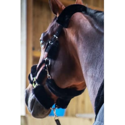 Volbloed halster Pénélope Soft
