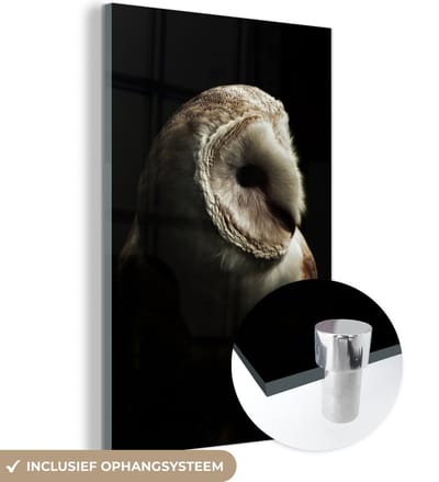 MuchoWow® Glasschilderij 120x180 cm - Schilderij acrylglas - Uil - Vogel - Portret - Foto op glas - Schilderijen