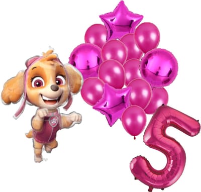 Paw Patrol Skye ballonnen pakket - 61x91cm - Folie Ballon set - Themafeest - Verjaardag - 5 jaar - Ballonnen - Versiering - Helium ballon