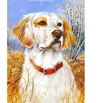 Kit de peinture diamant chien, image en strass, mosaïque d'animaux, décoration de la maison, Art diamant 20X30CM gray