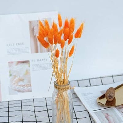 Gedroogde Bloemen - Konijnenstaart Gras - Huisdecoratie Boeket - Natuurlijk Gedroogd - 50 cm Lengte - Oranje