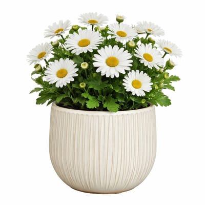 Mica Decorations Plantenpot - keramiek - wit glans / ribbels - D18 x H16 cm - bloempot Pablo