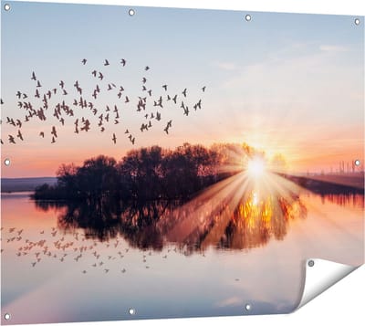 Gards Tuinposter Groep Vogels Boven de Meer met Zonsondergang - 120x90 cm - Tuindoek - Tuindecoratie - Wanddecoratie buiten - Tuinschilderij