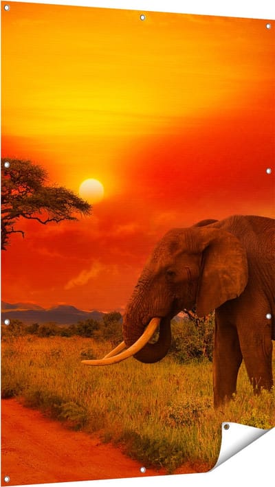 Gards Tuinposter Olifant in het Wild tijdens Zonsondergang - 100x150 cm - Tuindoek - Tuindecoratie - Wanddecoratie buiten - Tuinschilderij