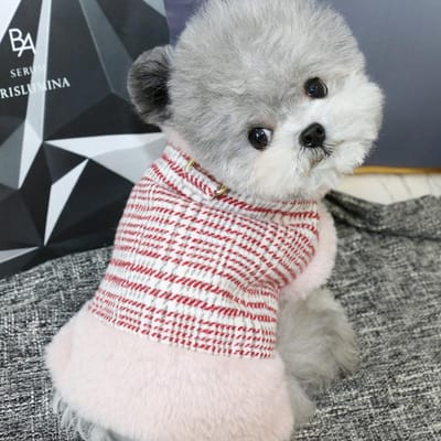 Huisdier Trekvriendelijk Vest Hond Geruit Herfst en Winter Jas Teddy Yorkshire Kleine Hond Kat Jas Puppy Kleding Honden Vest XS black