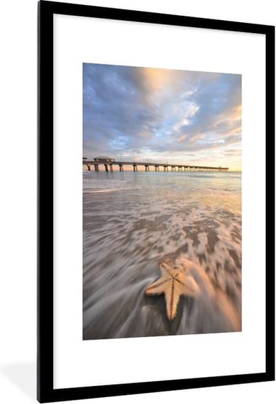 Fotolijst incl. Poster - Zee - Zeester - Amerika - 80x120 cm - Posterlijst