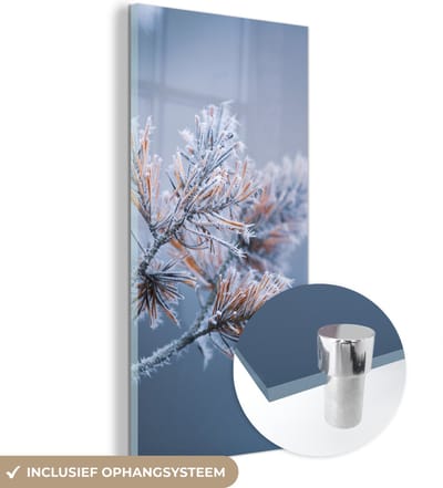 MuchoWow® Glasschilderij 40x80 cm - Schilderij acrylglas - Dennennaalden - Planten - IJs - Sneeuw - Winter - Foto op glas - Schilderijen