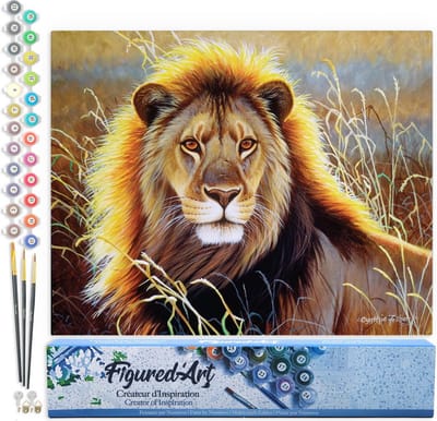 Figured'Art Schilderen op Nummer Volwassenen canvas Leeuw in de savanne - Handwerk acrylverf Kit DIY Compleet - 40x50cm zonder frame