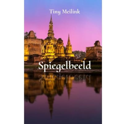 Spiegelbeeld - Tiny Meilink