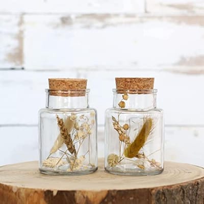 Droogbloemen in glas met kurk - Set van 2 voor unieke woondecoratie