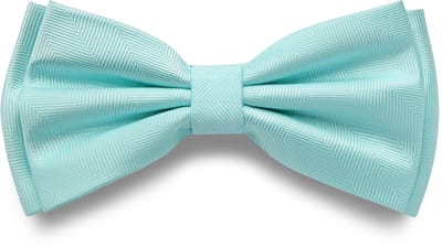Babyblauwe Voorgebonden Vlinderdas met Visgraatmotief