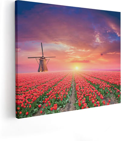 Artaza Canvas Schilderij Tulpenveld - 100x80 cm - Groot - Wanddecoratie Molen - Muurdecoratie Zonsondergang - Schilderijen Op Canvas Holland