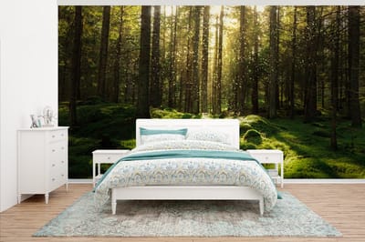 Behang - Fotobehang Bomen - Bos - Mos - Planten - Zon - Natuur - Breedte 395 cm x hoogte 220 cm