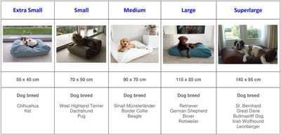 Dog's Companion Hondenkussen / Hondenbed - XS - 55 x 45 cm - Copenhagen Full Grey
