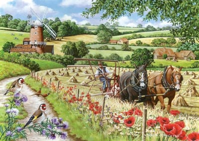 Windmill Lane Puzzel 500 Stukjes XL