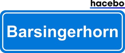 Hacebo - Plaatsnaam Sticker - 29x10 CM - Barsingerhorn sticker - Verkeersborden sticker - grappige cadeaus - Barsingerhorn