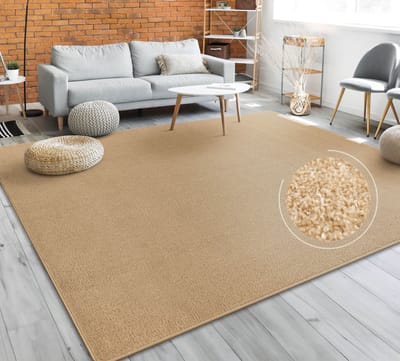 Paco Home Vloerkleed Woonkamer Effen Eenvoudig En Modern Laagpolig, Versch. Afmetingen Kleuren 200 cm Quadrat