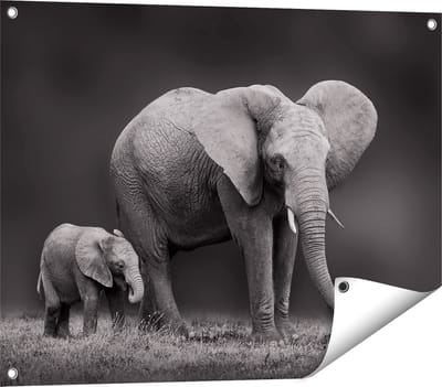 Gards Tuinposter Olifant Moeder en Zoon - Zwart Wit - 80x60 cm - Tuindoek - Tuindecoratie - Wanddecoratie buiten - Tuinschilderij