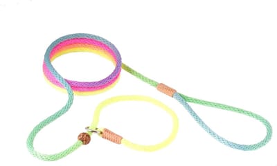 Hondenlijn - Slip Lijn - Hond Uitlaten - Met Verstelbare Stop - 6mm X 1.8m - Meerkleurig
