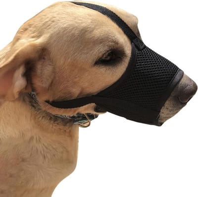 Verstelbare ademende muilkorf van mesh voor honden, veilig en comfortabel tijdens training en wandelingen (zwart, XL)