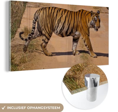 MuchoWow® Glasschilderij 40x20 cm - Schilderij acrylglas - Tijger - Weg - Lopen - Foto op glas - Schilderijen