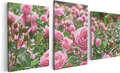 Artaza Canvas Schilderij Drieluik Roze Rozen Bloemenveld - 120x60 cm - Wanddecoratie Woonkamer - Schilderijen - Muurdecoratie