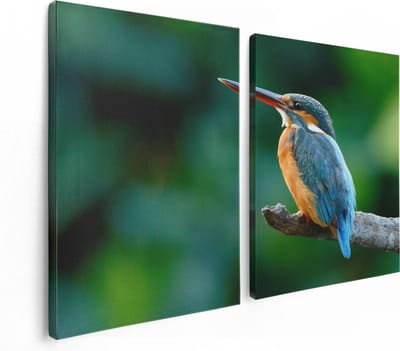 Artaza Canvas Schilderij Tweeluik Blauw Oranje IJsvogel Op Een Tak - 120x80 - Foto Op Canvas - Canvas Print
