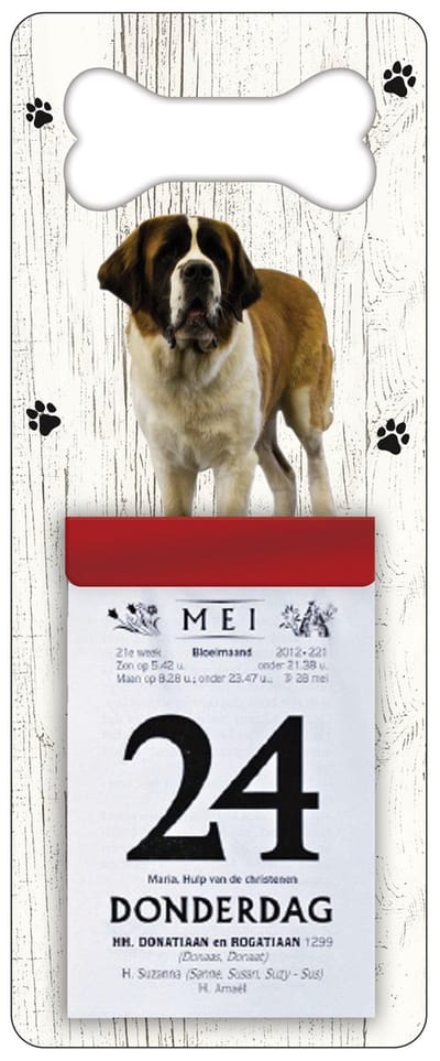 Scheurkalender 2027 Hond: Sint Bernard