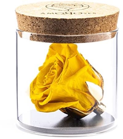 Eterne gestabiliseerde roos in glas met 24 karaat vergulde kelk - Perfect cadeau