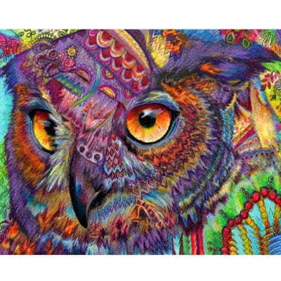 Diamantgeborduurde uil Kleurrijke diamantschilderij Kruissteek Dierenborduurwerk voor kinderen Puzzel 20X30CM