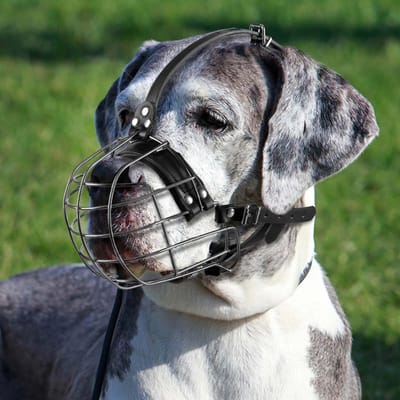 Dailygoods - Metalen Hondenmuilkorf met Leren Riemen, Pitbull, Duitse Dog, Rottweiler, Beveiligde Draadmand, Ademend, Verstelbare Pasvorm voor Grote Honden (Zwart)