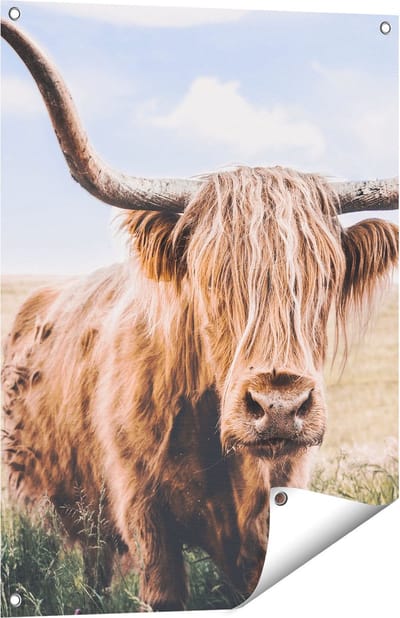 Gards Tuinposter Schotse Hooglander Koe in de Wei - 60x80 cm - Tuindoek - Tuindecoratie - Wanddecoratie buiten - Tuinschilderij