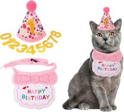 Daity Kat en hond verjaardagsfeestje benodigdheden - roze meisje kat kitten verjaardag bandana hoed nummer huisdier verjaardag decoraties kostuum