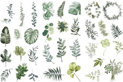 Botanical stickerset 3 vellen stickers blaadjes - Hobbystickers voor o.a. bulletjournal, scrapbooking en kaarten maken