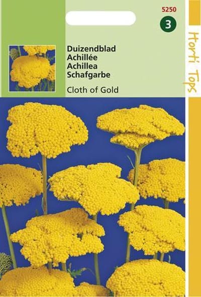 Duizendblad Bloemzaad - Cloth Of Gold - Geel
