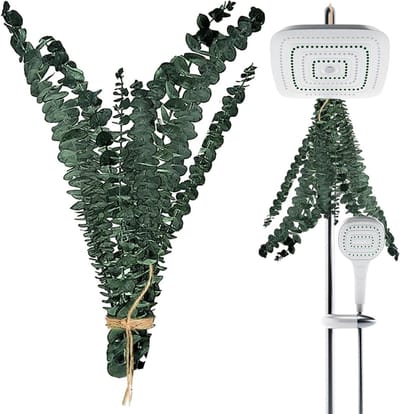 Eucalyptus Stengels - Douche Decoratie - Ontspannende Douche - Natuurlijke Aroma - 10 Stuks - Groen