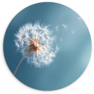 WallCircle® Wandcirkel 120x120 cm - Muurcirkel Paardenbloem - Wind - Blauw - Muurdecoratie woonkamer - Wanddecoratie slaapkamer - Kamer decoratie accessoires - Ronde schilderijen XXL