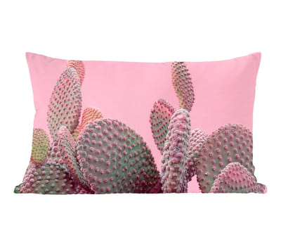 Sierkussens - Kussentjes Woonkamer - 50x30 cm - Cactus - Planten - Zomer