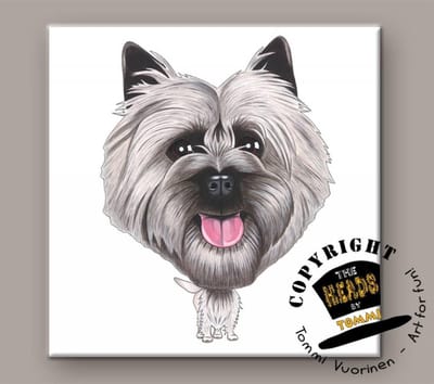 Tegel Hond Cairn Terrier