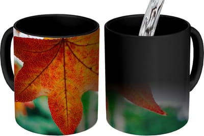 Magische Mok - Foto op Warmte Mokken - Koffiemok - Herfst - Landelijk - Bladeren - Seizoenen - Landelijk - Magic Mok - Beker - 350 ML - Theemok