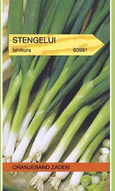 Oranjebandzaden -  Stengelui Ishikura