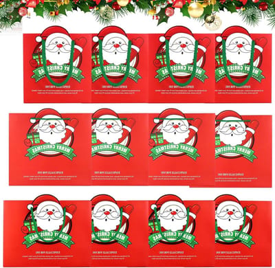 12 stuks Kerstmis cadeautasjes - groot medium formaat - kerstcadeautassen met handgrepen - kerstdraagtassen voor feestdecoratie