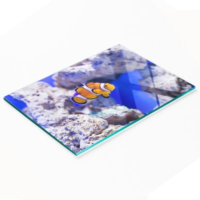 Decoratieve glazen keukensnijplank Nemo koraalrif 80x52 cm