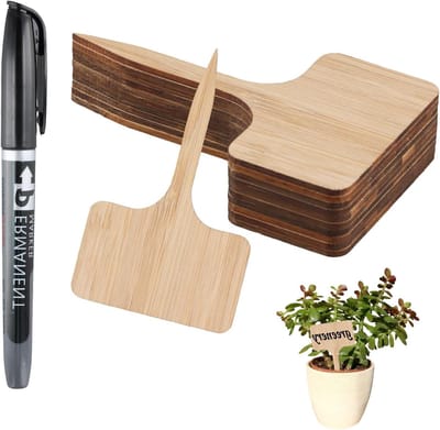 Set van 60 Plant Labels voor Buiten - Tuinaccessoires voor Zaailingen, Groenten, Bloemen en Potplanten 6x10cm