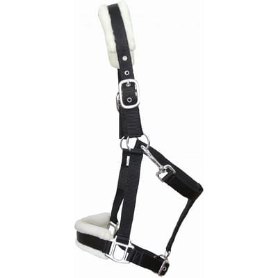 Schofelt voor paard T de T