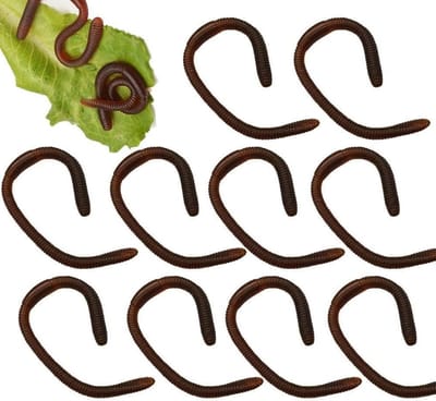 Kunstwormen - Nep Aas - Vissen Lokken - Zacht Rubber - 10 Stuks - Bruin